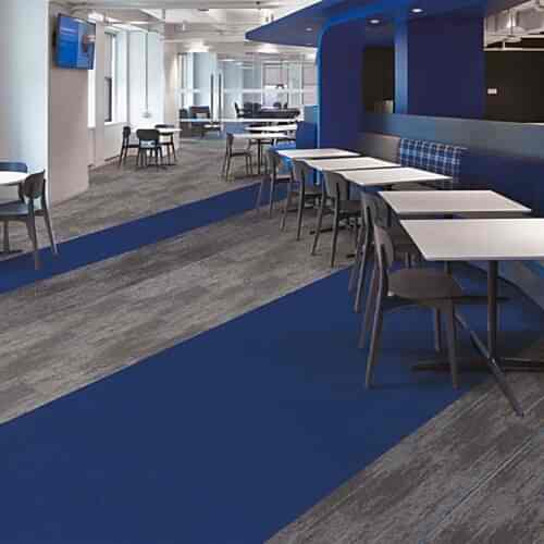 Karo halı Darwin 36 toz akarına karşı dirençlidir.